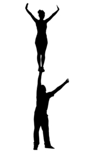 BASE ÚNICA - PARTNER