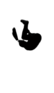 Tumbling Adulto