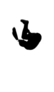 Tumbling Adulto